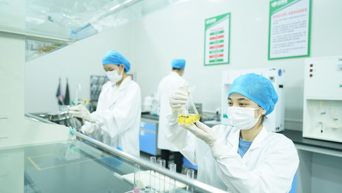 疆果果健康食品研究院獲評(píng)自治區(qū)級(jí)企業(yè)技術(shù)中心，引領(lǐng)健康食品產(chǎn)業(yè)創(chuàng)新發(fā)展
