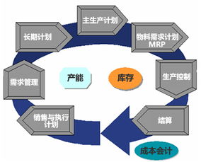 博科ERP 助力企業騰飛的管理大師